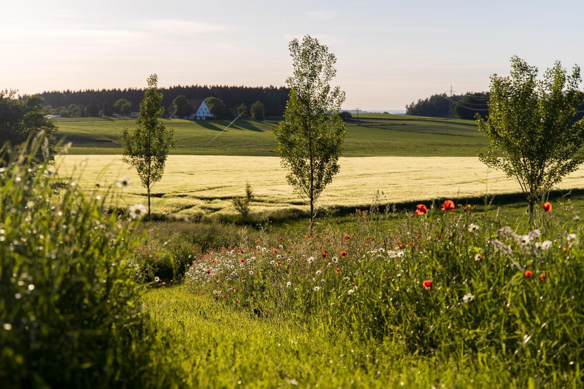 Hotel-Landgasthof Kreuz Bad Waldsee Luaran gambar
